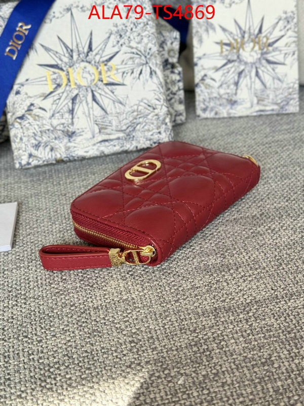 ID: TS4869 $: 79USD,