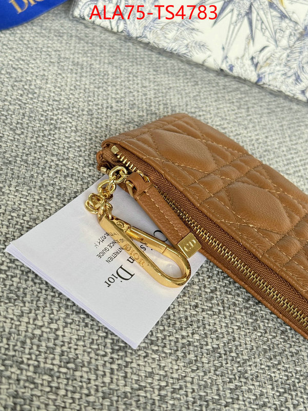 ID: TS4783 $: 75USD,