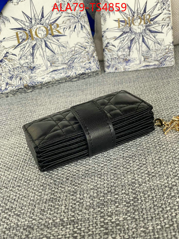 ID: TS4859 $: 79USD,