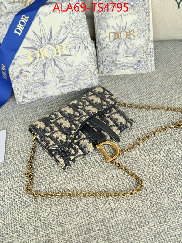 ID: TS4795 $: 69USD,