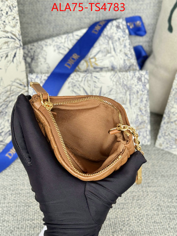 ID: TS4783 $: 75USD,