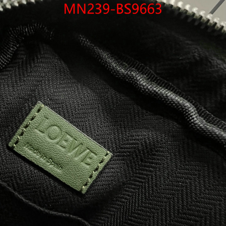 Loewe Bags(TOP)-Crossbody- luxury cheap ID: BS9663 $: 239USD,