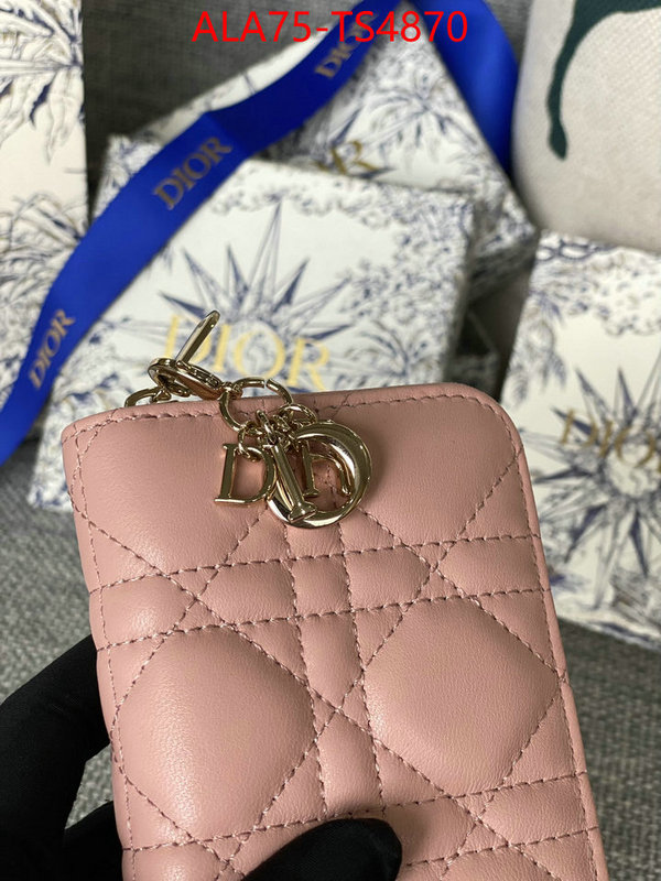 ID: TS4870 $: 75USD,