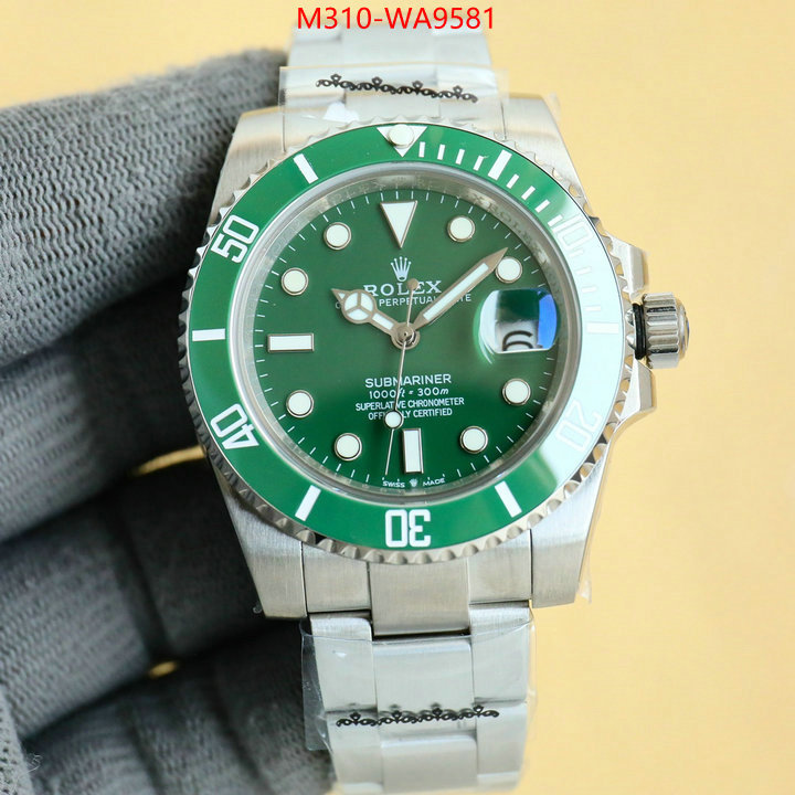 ID: WA9581
