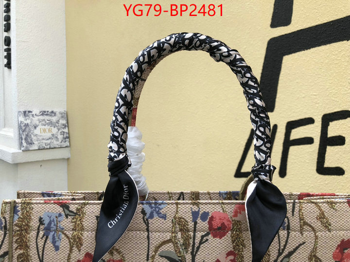 ID: BP2481