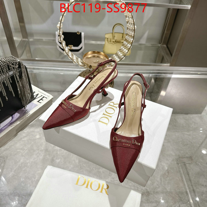 Women Shoes-Dior shop the best high authentic quality replica ID: SS9877 $: 119USD-shoes yupoo Women Shoes-Dior shop the best high authentic quality replica ID: SS9877 $: 119USD