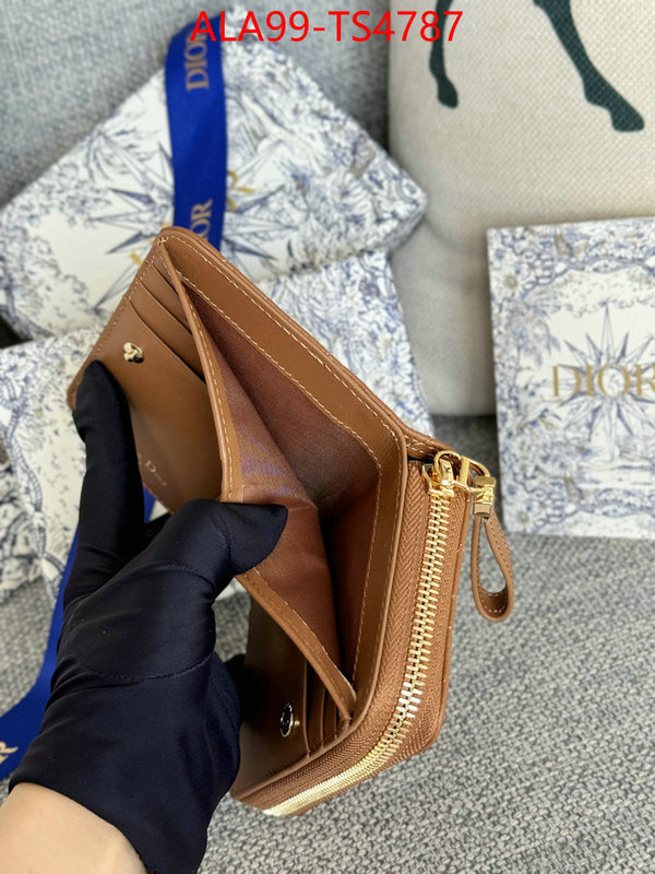 ID: TS4787 $: 99USD,