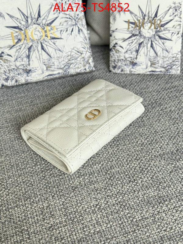 ID: TS4852 $: 75USD,