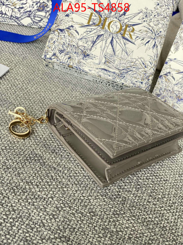 ID: TS4858 $: 95USD,
