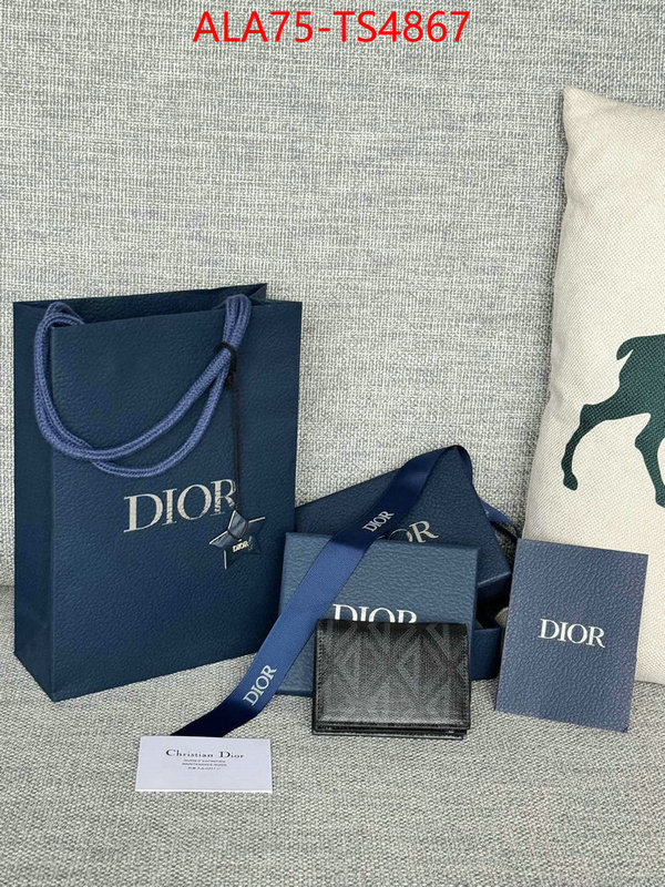 ID: TS4867 $: 75USD,