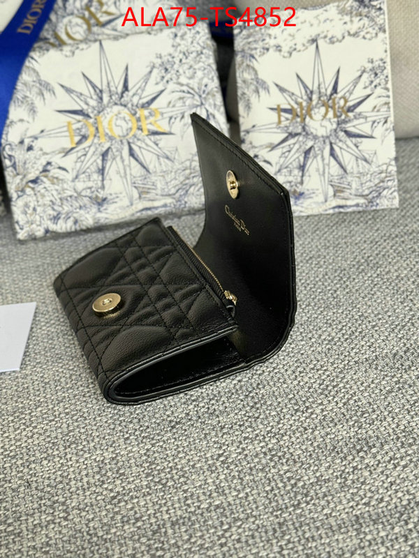ID: TS4852 $: 75USD,