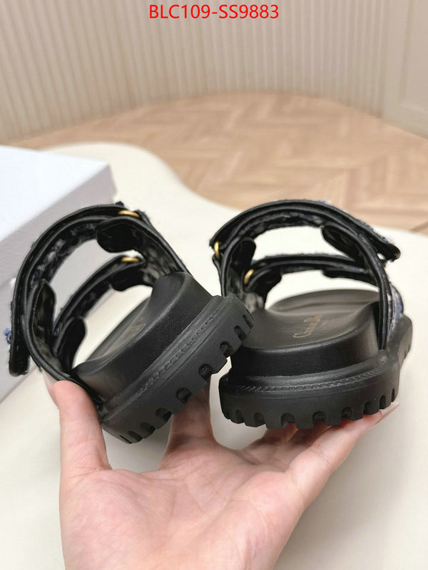 Women Shoes-Dior for sale online ID: SS9883 $: 109USD