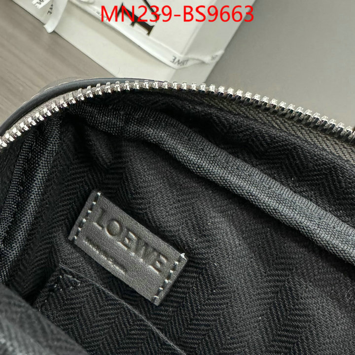 Loewe Bags(TOP)-Crossbody- luxury cheap ID: BS9663 $: 239USD,