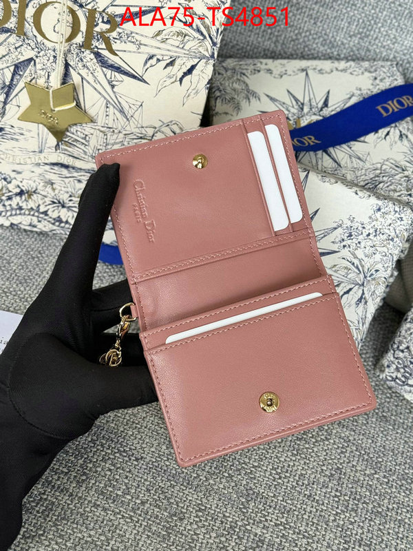 ID: TS4851 $: 75USD,