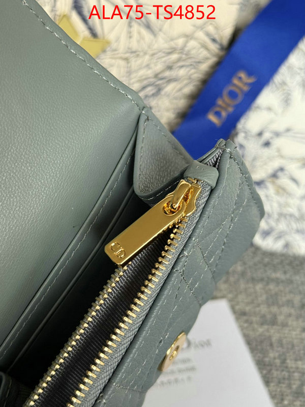 ID: TS4852 $: 75USD,