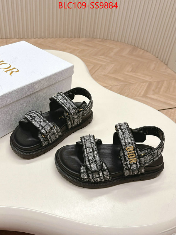 Women Shoes-Dior wholesale 2024 replica ID: SS9884 $: 109USD
