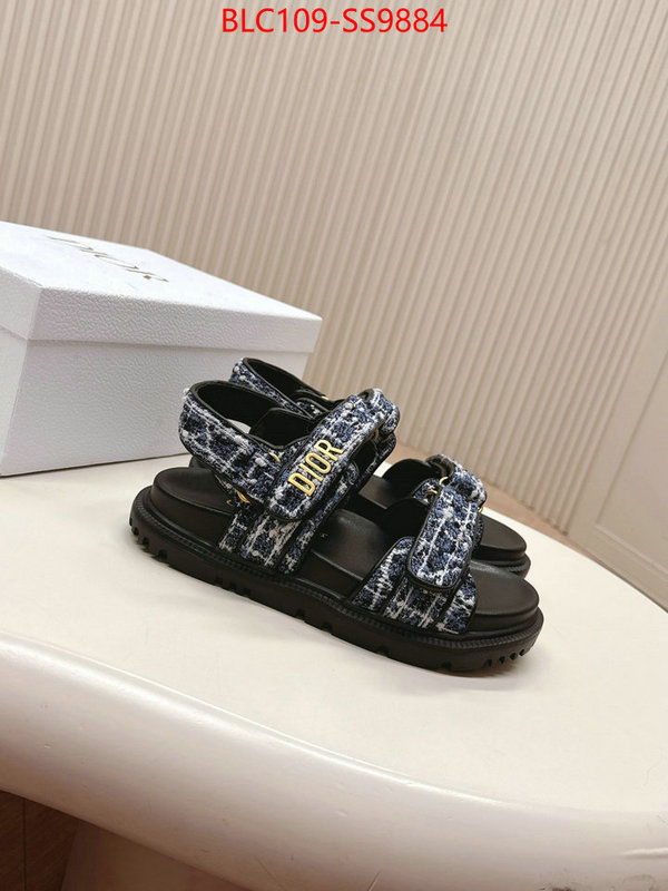 Women Shoes-Dior wholesale 2024 replica ID: SS9884 $: 109USD