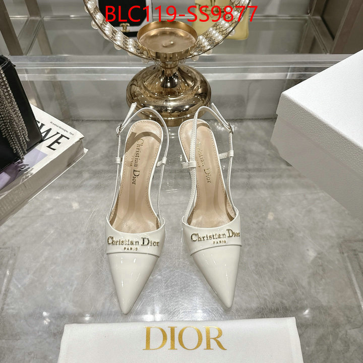 Women Shoes-Dior shop the best high authentic quality replica ID: SS9877 $: 119USD-shoes yupoo Women Shoes-Dior shop the best high authentic quality replica ID: SS9877 $: 119USD