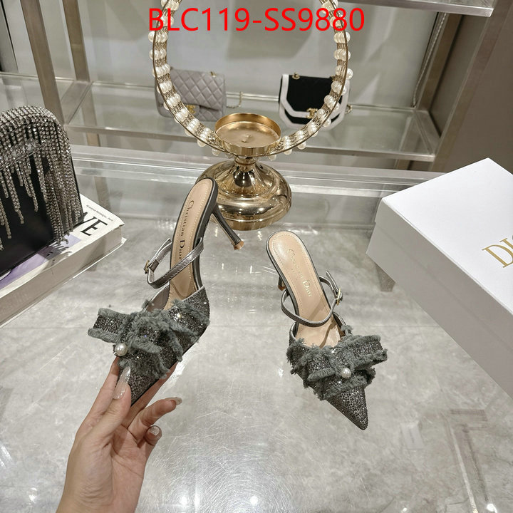 Women Shoes-Dior store ID: SS9880 $: 119USD