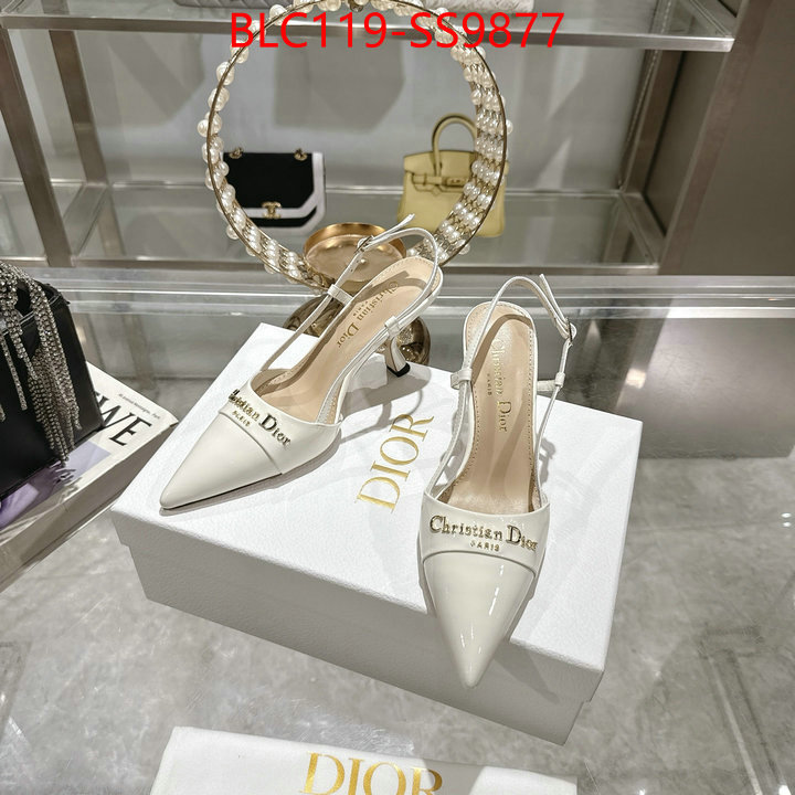 Women Shoes-Dior shop the best high authentic quality replica ID: SS9877 $: 119USD-shoes yupoo Women Shoes-Dior shop the best high authentic quality replica ID: SS9877 $: 119USD