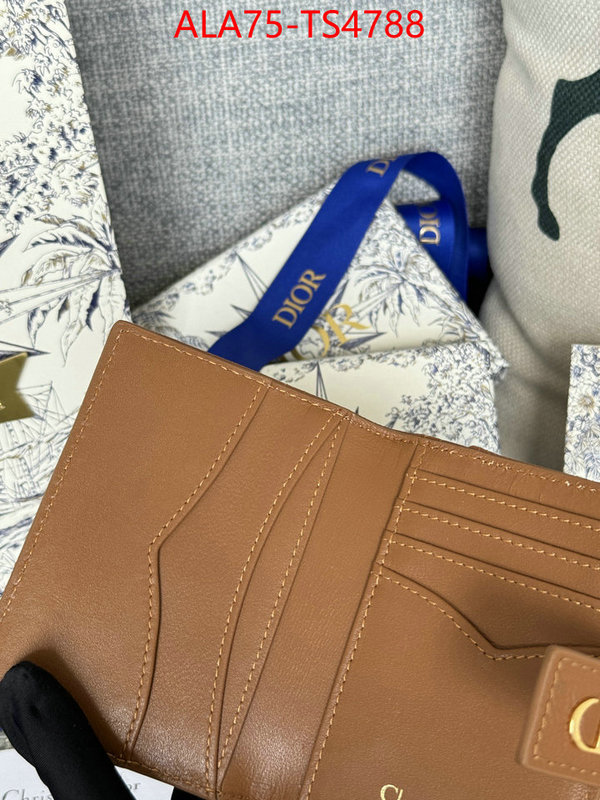 ID: TS4788 $: 75USD,