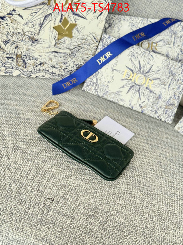 ID: TS4783 $: 75USD,