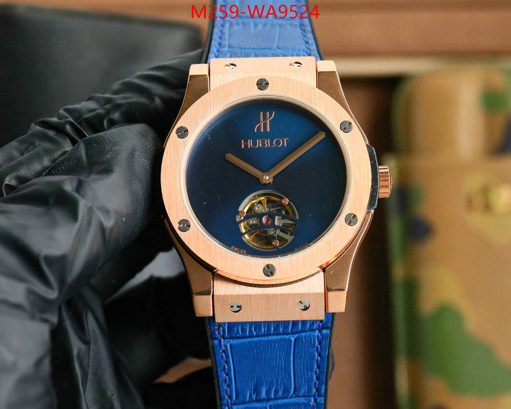 ID: WA9524
