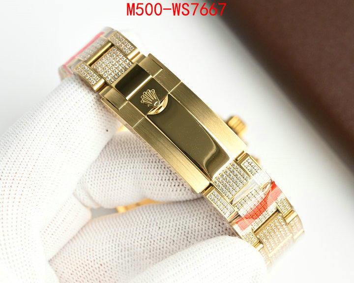 ID: WS7667