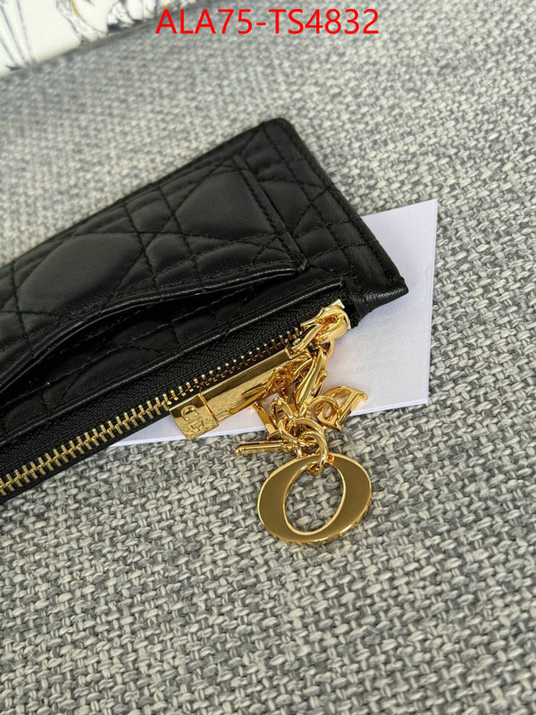 ID: TS4832 $: 75USD,