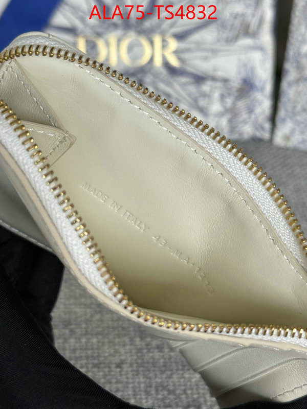 ID: TS4832 $: 75USD,
