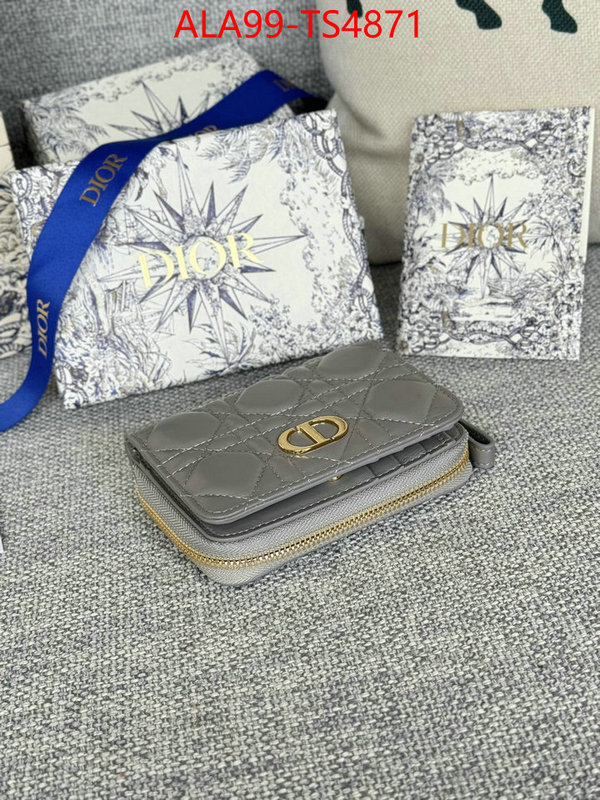 ID: TS4871 $: 99USD,