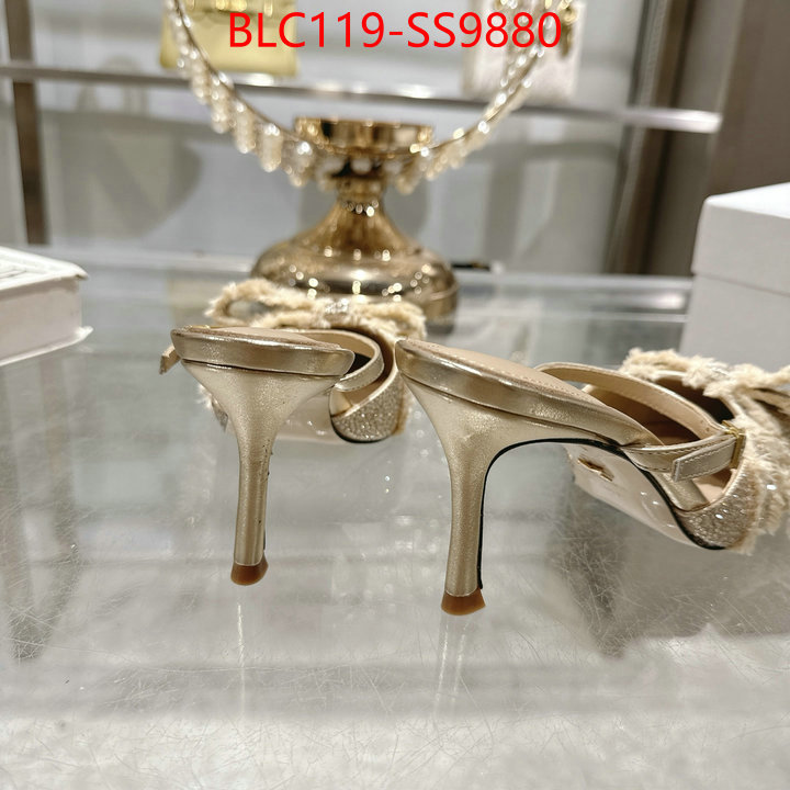 Women Shoes-Dior store ID: SS9880 $: 119USD