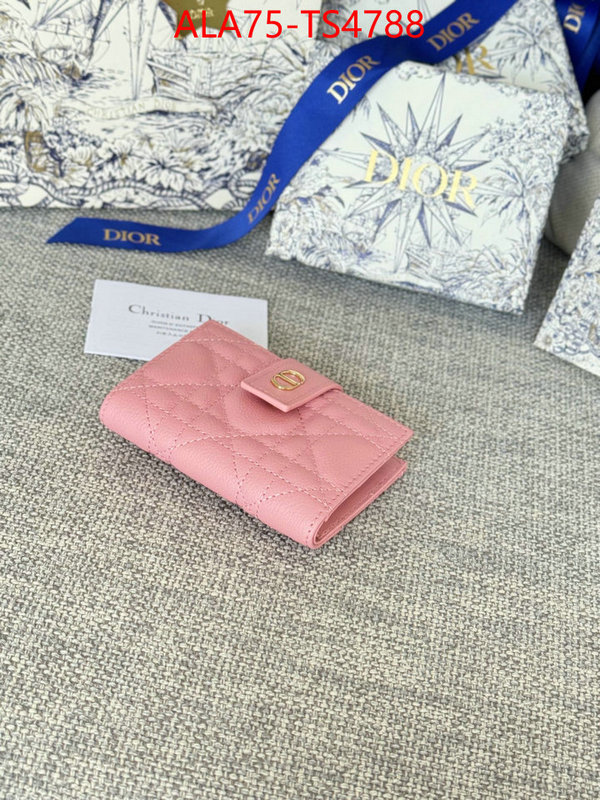 ID: TS4788 $: 75USD,