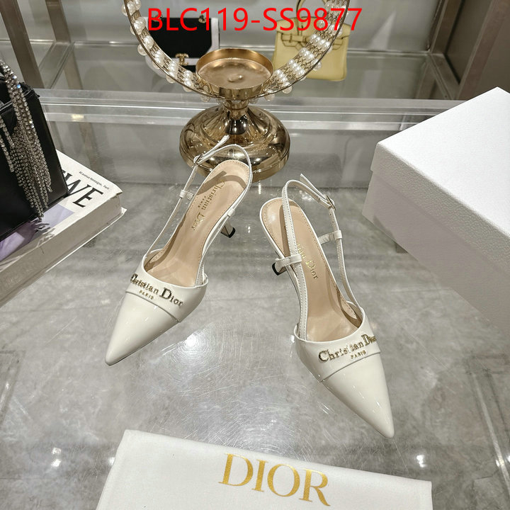 Women Shoes-Dior shop the best high authentic quality replica ID: SS9877 $: 119USD-shoes yupoo Women Shoes-Dior shop the best high authentic quality replica ID: SS9877 $: 119USD