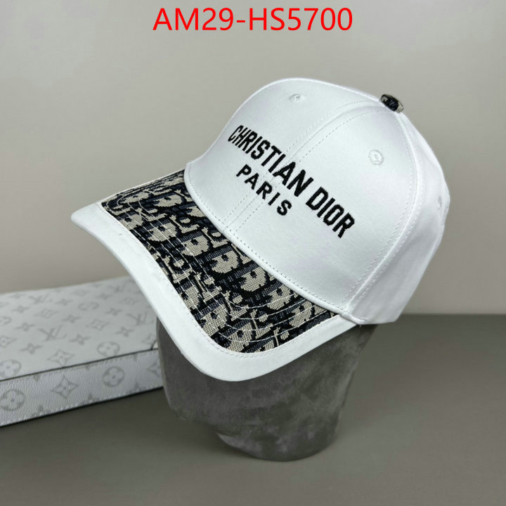 top perfect fake ID: HS5700