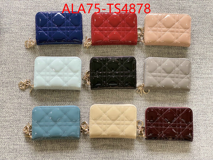 ID: TS4878 $: 75USD,