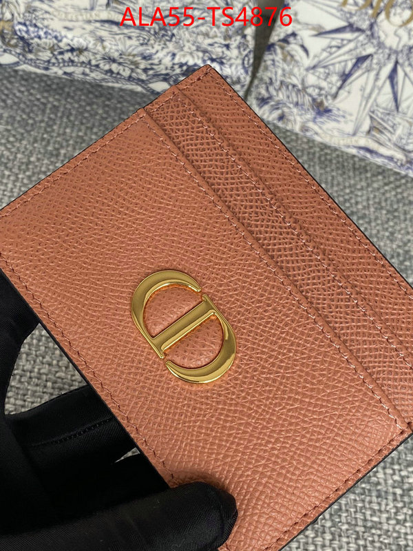 ID: TS4876 $: 55USD,