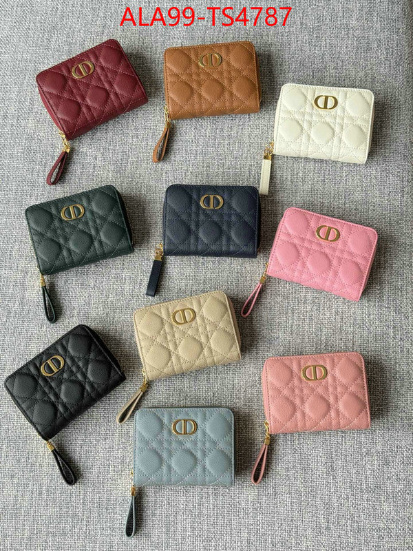 ID: TS4787 $: 99USD,
