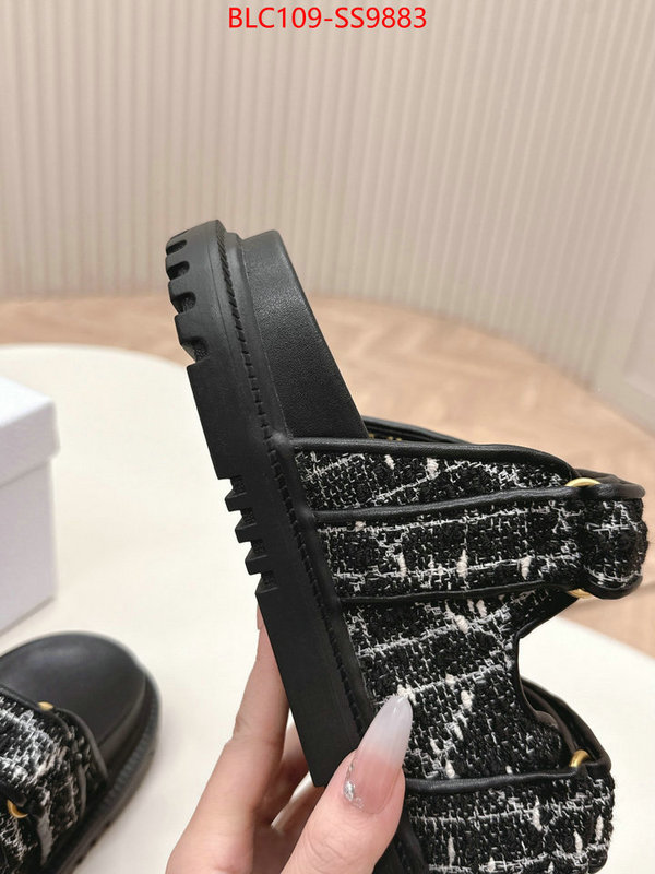 Women Shoes-Dior for sale online ID: SS9883 $: 109USD