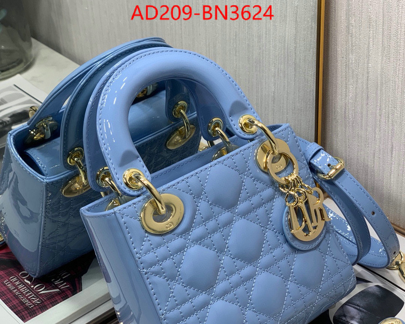 ID: BN3624 $: 209USD,