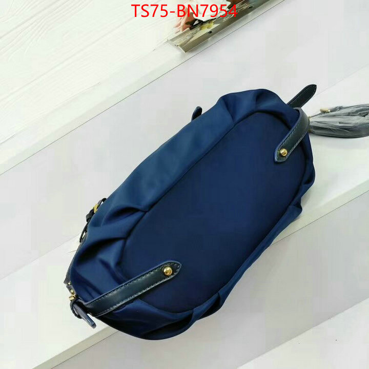 ID: BN7954 $: 75USD,