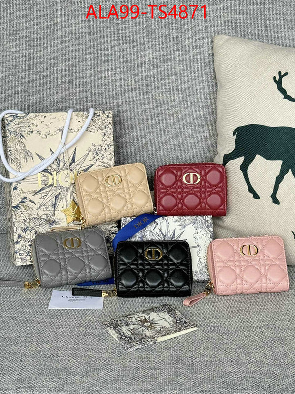 ID: TS4871 $: 99USD,