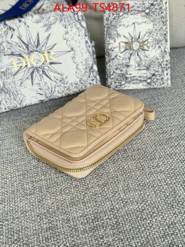 ID: TS4871 $: 99USD,