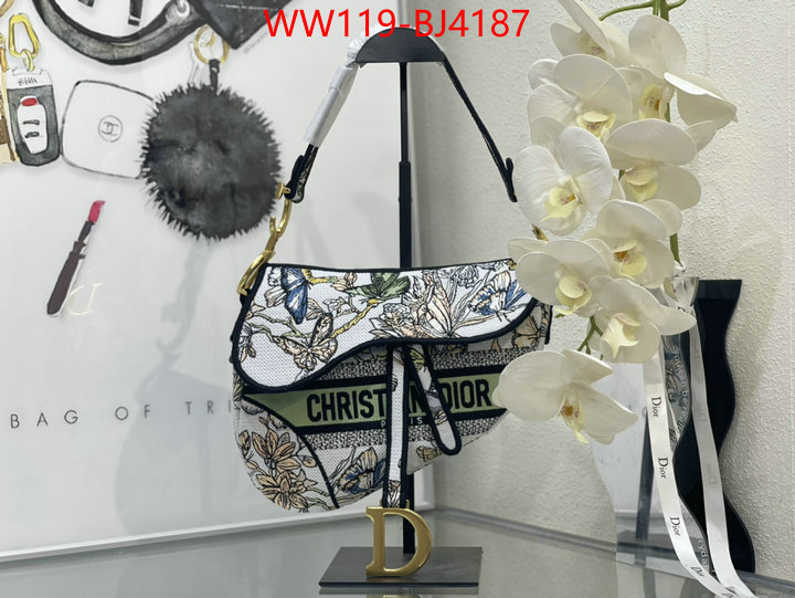 ID: BJ4187 $: 119USD,