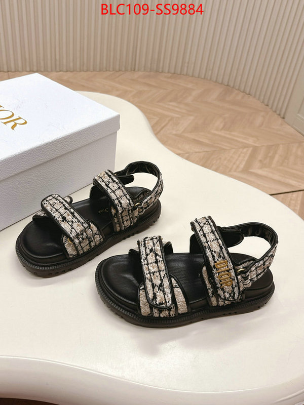Women Shoes-Dior wholesale 2024 replica ID: SS9884 $: 109USD