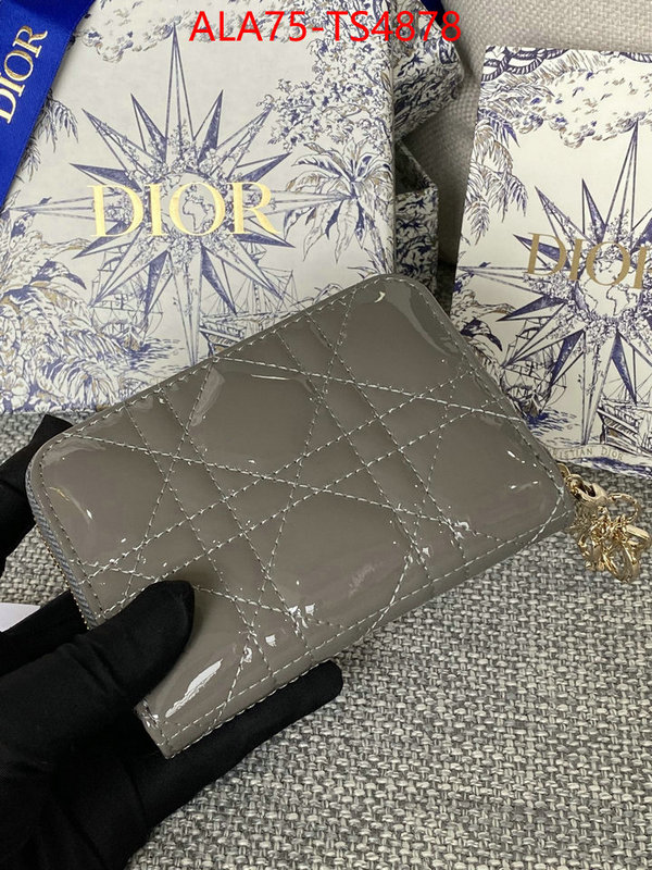 ID: TS4878 $: 75USD,