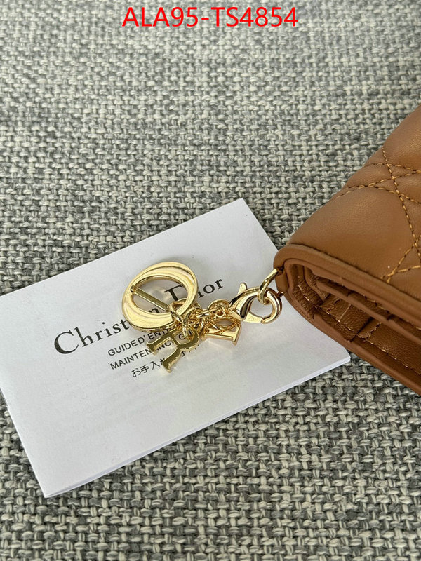 ID: TS4854 $: 95USD,