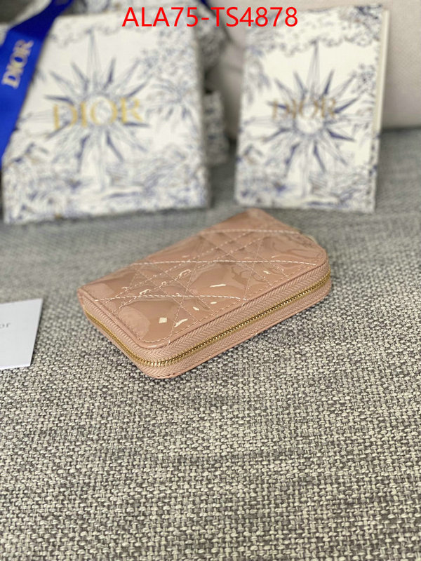 ID: TS4878 $: 75USD,