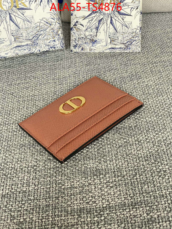 ID: TS4876 $: 55USD,