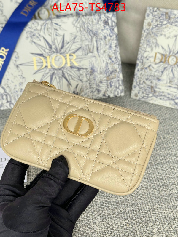 ID: TS4783 $: 75USD,